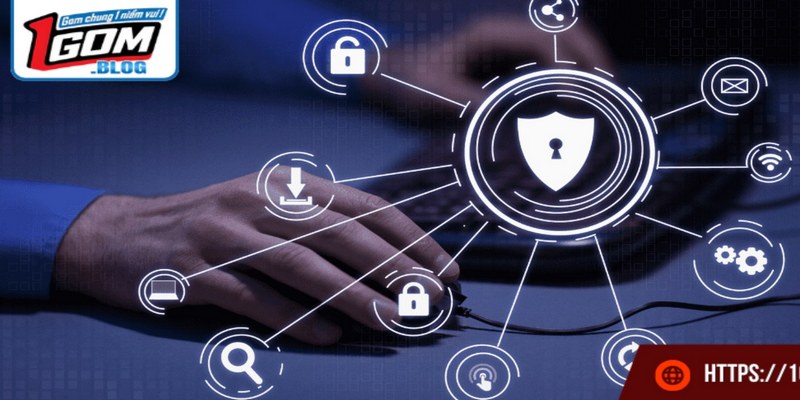 Việc thu thập và sử dụng dữ liệu tại 1GOM được thực hiện theo quy trình