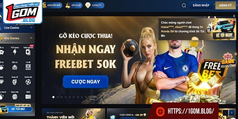 Tổng quan giao diện đẳng cấp và chuyên nghiệp của ZO88